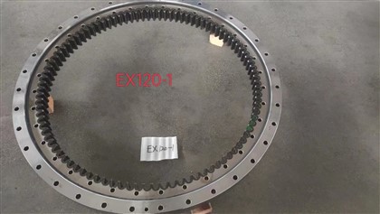 Ex 120-1 Bearing swing